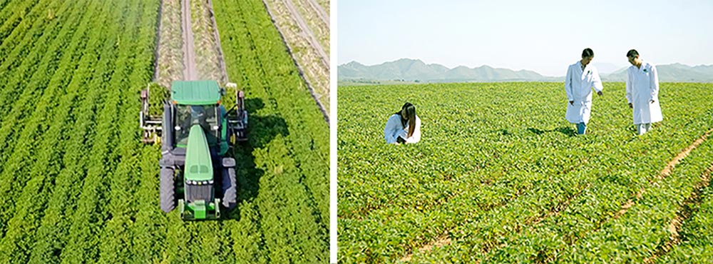 遼寧正業花生產業：共抗疫情，龍頭企業顯擔當！(圖3)